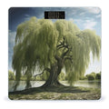 Willow Tree Scale for Body Weight Highly Accurate Digital Bathroom Scale Sturdy Tempered Glass Weighing Scales with LCD Display Fashion Body Fat Smart Scales 400lb