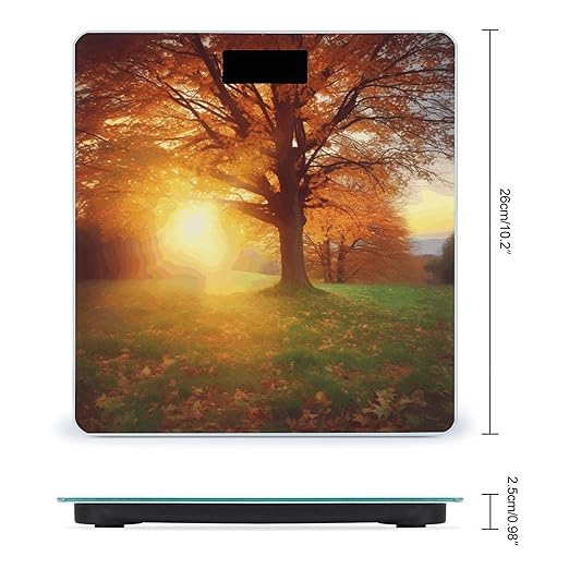Autumn Sunset Digital Bathroom Scale for Body Weight Weighing Scale with Backlit LCD Display High Precision Measurements &amp Measures Weight Up to 180kg