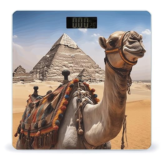 Pyramid Camel Bathroom Scale Large LCD Backlight Display Digital Scale Rounded Corners Body Scales Automatic Power On/Off Bathroom Scales for Home Bedrooms
