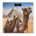 Pyramid Camel Bathroom Scale Large LCD Backlight Display Digital Scale Rounded Corners Body Scales Automatic Power On/Off Bathroom Scales for Home Bedrooms