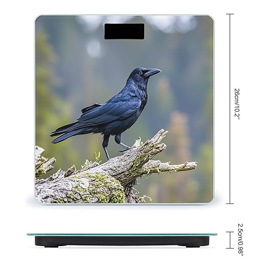 Black Crow Birds Bathroom Scale for Body Weight with High Precision Large LCD Backlight Display Digital Weighing Scale with BMI Capacity Up to 180kg
