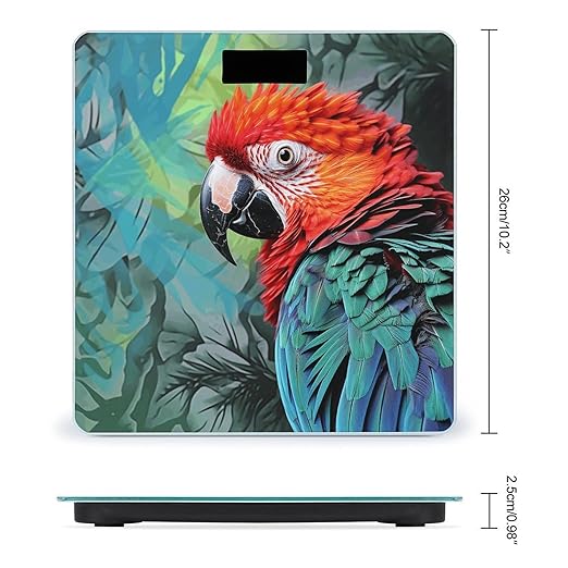 Colorful Parrot Bathroom Scale Rounded Smart Scale for Body Weight Automatic Power On/Off Weight Scales Accurate Bathroom Digital Scales for Pet Home Bedroom Kitchen