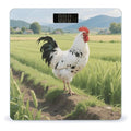 Digital Bathroom Scale for Body Weight Scale with Bright LCD Display High Accuracy Step-On Technology Auto On/Off Chicken Digital Scales 400 Lbs /180kg