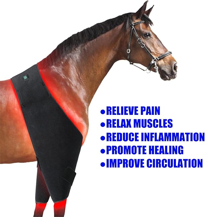 Red Light Therapy for Horse Full BodyRed Light Therapy BeltInternal Battery USB Rechargeable Red Lightfor Body Back Shoulder Waist Muscle Pain Relief