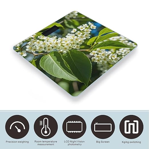 Bird Cherry in Bloom Bathroom Scale for Body Weight Bathroom Weighing Scales with Back Lit LED Display Sturdy Tempered Glass Body Weight Bathroom Scale 400lb Weighing