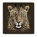 Patterned Leopard Head Scale for Body Weight Anti-Slip Tempered Glass Digital Bathroom Scales Clear LCD Display Weighing Scale Safe Rounded Corners Smart Scales