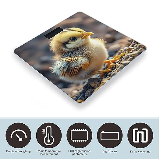 Chicken Chick Bathroom Scale Automatic Power On/Off Body Scales LCD Backlight Display Square Digital Scale Rounded Corners Bathroom Scales for Home Bedrooms