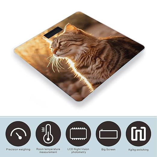 Cat Basking in The Sun Scale for Body Weight Anti-Slip Tempered Glass Digital Bathroom Scales Clear LCD Display Weighing Scale Safe Rounded Corners Smart Scales