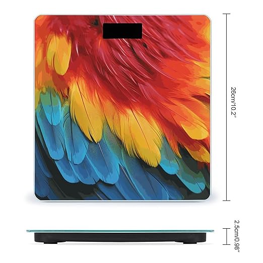 Fantastic Parrot Feather Bathroom Scale Automatic Power On/Off Body Scales LCD Backlight Display Square Digital Scale Rounded Corners Bathroom Scales for Home Bedrooms