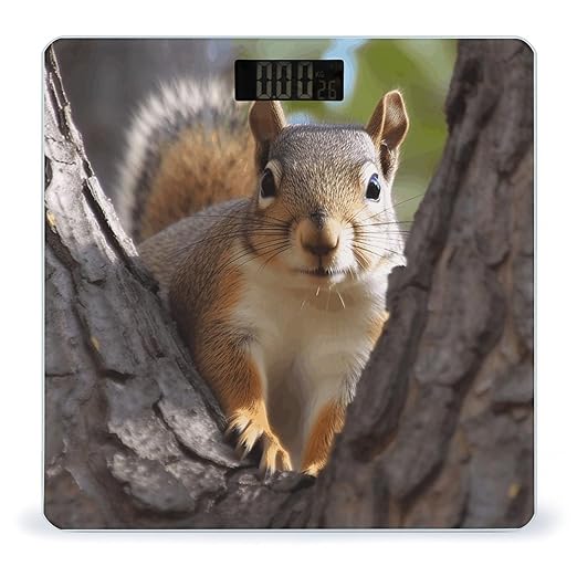 Squirrel in The Tree Bathroom Scale Rounded Smart Scale for Body Weight Automatic Power On/Off Weight Scales Accurate Bathroom Digital Scales for Pet Home Bedroom Kitchen
