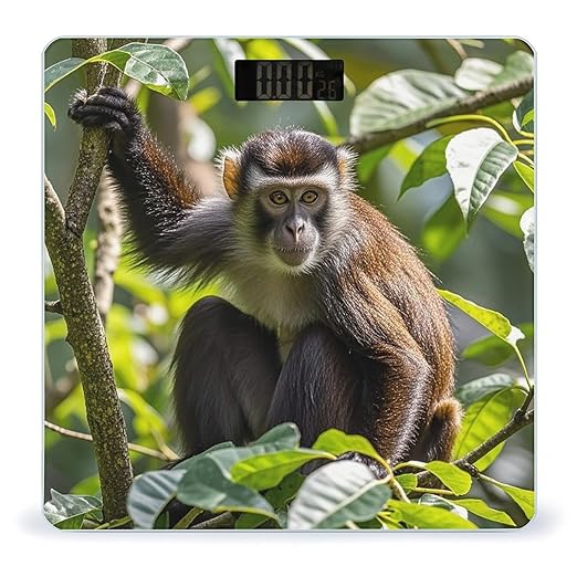 Monkey Scale for Body Weight Highly Accurate Digital Bathroom Body Scale Digital Bathroom Scales for People Anti-Slip Large LCD Display Smart Scales