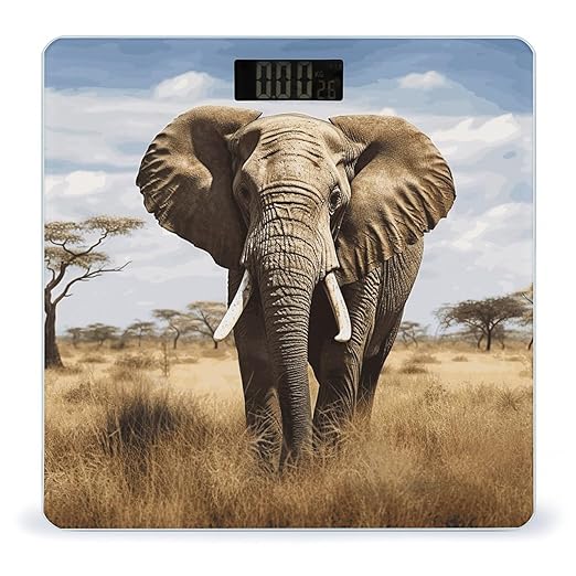 Elephant Bathroom Scale Automatic Power On/Off Body Scales LCD Backlight Display Square Digital Scale Rounded Corners Bathroom Scales for Home Bedrooms