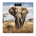 Elephant Bathroom Scale Automatic Power On/Off Body Scales LCD Backlight Display Square Digital Scale Rounded Corners Bathroom Scales for Home Bedrooms