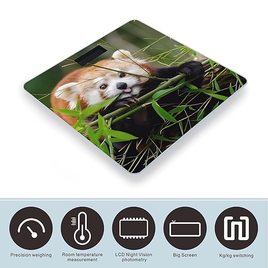 Little Red Panda Scale for Body Weight Anti-Slip Sturdy Tempered Glass Weighing Machine Highly Digital Accurate Bright LCD Bathroom Scale for Household Gift