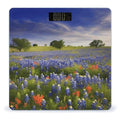 Texas Bluebonnets Scenery Bathroom Scale Large LCD Backlight Display Digital Scale Rounded Corners Body Scales Automatic Power On/Off Bathroom Scales for Home Bedrooms