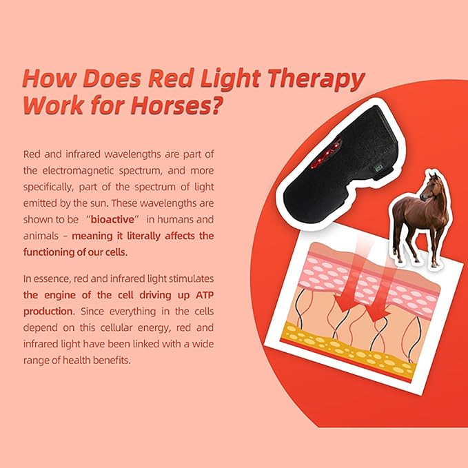 GOURIXIN LED Red Light Therapy for Horse Knee Portable Wearable Infrared Therapy Wrap 660nm/850nm for Equine Joint &amp Muscle Recovery