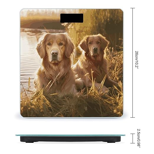 Two Golden Retrievers Scale for Body Weight Anti-Slip Sturdy Tempered Glass Weighing Machine Highly Digital Accurate Bright LCD Bathroom Scale for Household Gift