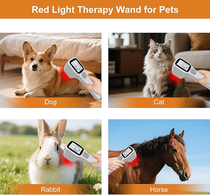 Upgrade Red Light Therapy Device for Pain Relief 10x650nm 5x808nm 5x905nm 5x980nm Portable Infrared Light Therapy Wand Handheld Therapy Machine for Human and Pets Relief of Joints Muscle and Body Pain