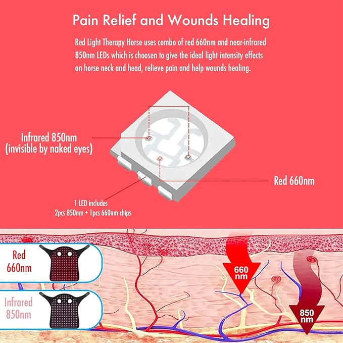 Red Light Therapy for Horses Head 660nm 850nm Wearable Near Infrared Light Cap Rechargeable 15 mins Timer for Equine Head Pain Relief M