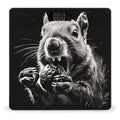Squirrel Opens Its Mouth Scale for Body Weight Anti-Slip Digital Bathroom Scale Sturdy Toughened Glass Weighing Scales High Precision Safe Rounded Corners Smart Scales