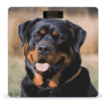 Rottweiler Dog Weight Scale Large Bathroom Scales Digital Weight with Bright LED Display Non Slip Automatic Weighing Scale Fashion Weighing Machine for Body