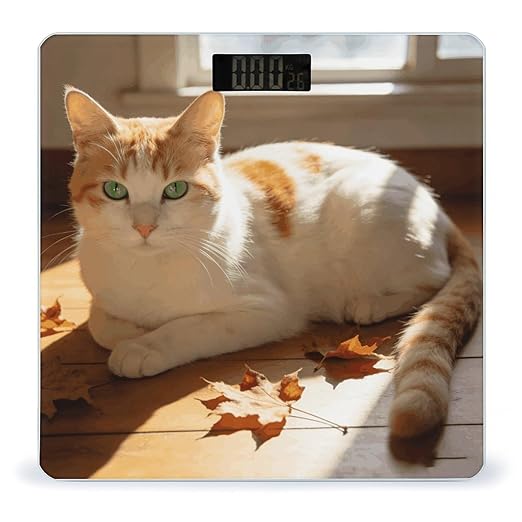 Beige Orange Cat Smart Scale for Body Weight Digital Bathroom Scale Toughened Glass Weight Scale with Large LCD Backlight Display High Precision Scales Weighing Machine