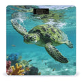 Sea Turtle Smart Scale for Body Weight Digital Bathroom Scale Toughened Glass Weight Scale with Large LCD Backlight Display High Precision Scales Weighing Machine
