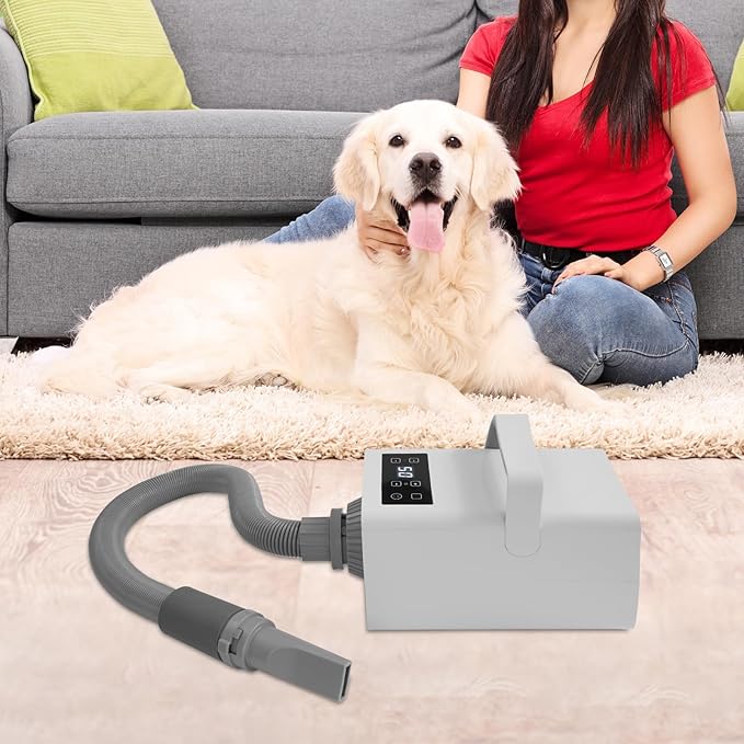 White Pet Hair Dryer 3-Heat Adjustable Dog Cat Grooming Blower Quiet 2-Speed Motor with 4 Snap-On Nozzles Lightweight Home Drying Machine for Small to Large Dogs 110 V 10 ft Hose