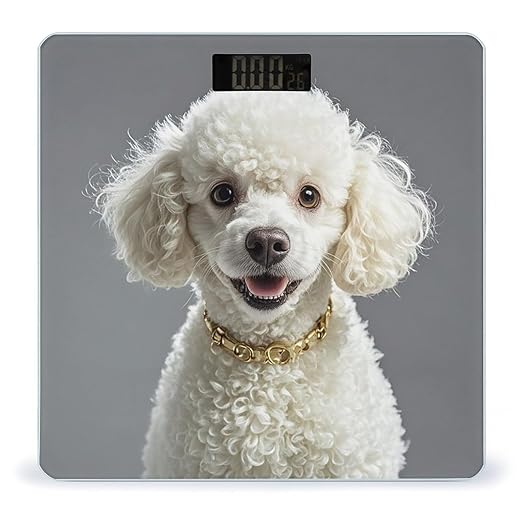 French Poodle Bathroom Scale Automatic Power On/Off Body Scales LCD Backlight Display Square Digital Scale Rounded Corners Bathroom Scales for Home Bedrooms