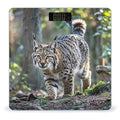 Wild Bobcat Bathroom Scale for Body Weight Bathroom Weighing Scales with Back Lit LED Display Sturdy Tempered Glass Body Weight Bathroom Scale 400lb Weighing