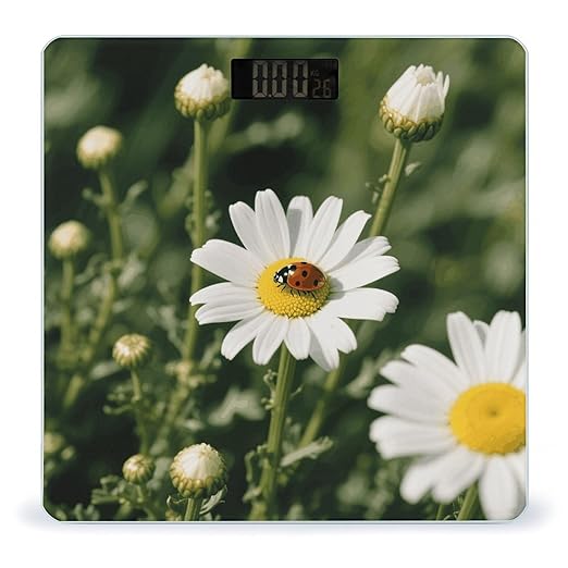 Chamomile Ladybug and Daisy Scale for Body Weight Sturdy Tempered Glass Weighing Scales with LCD Display Accurate Digital Bathroom Scale Convenient Body Fat Smart Scales Easy Read