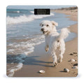 Dog Running on The Beach Weight Scale Cute Bathroom Scale for Body Highly Accurate Digital Weighing Machine for People Compact LCD Display Scales with Sturdy Toughened Glass Scales
