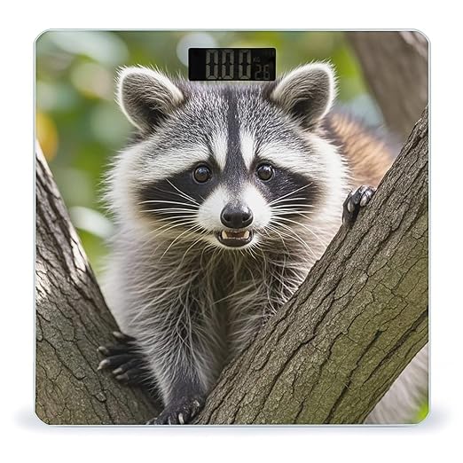 Raccoon Scale for Body Weight Highly Accurate Digital Bathroom Body Scale Digital Bathroom Scales for People Anti-Slip Large LCD Display Smart Scales