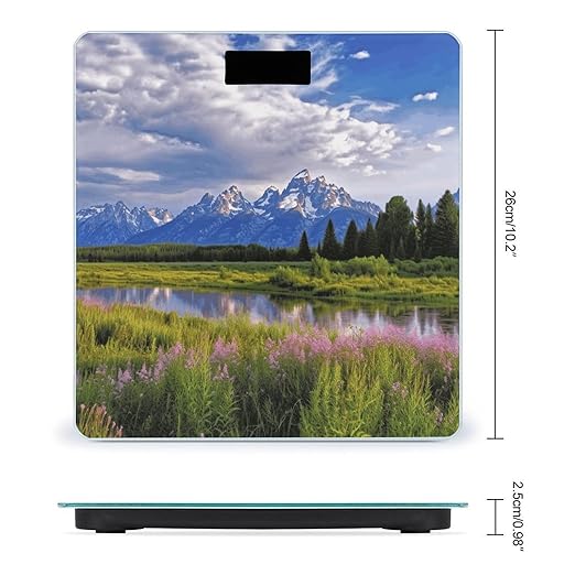 Grand Teton National Park Bathroom Scale Large LCD Backlight Display Digital Scale Rounded Corners Body Scales Automatic Power On/Off Bathroom Scales for Home Bedrooms