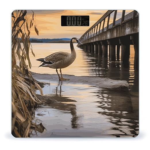 Wild Goose by The Bridge Bathroom Scale for Body Weight Bathroom Weighing Scale with Backlit LCD Display Highly Accurate Measures Weight Up to 180kg