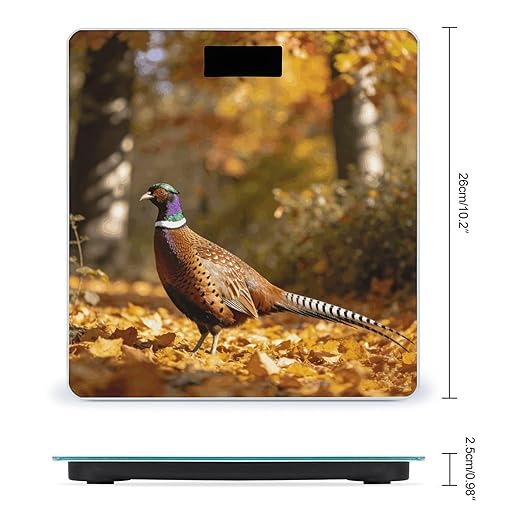 Faisan D'automne Smart Scale for Body Weight Digital Bathroom Scale Toughened Glass Weight Scale with Large LCD Backlight Display High Precision Scales Weighing Machine