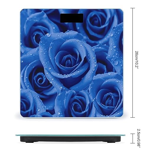 Blue Rose Bathroom ScaleHighly Accurate Digital Weighing Machine for People Bright LED Display Weight Scale for The Aldult Home Use