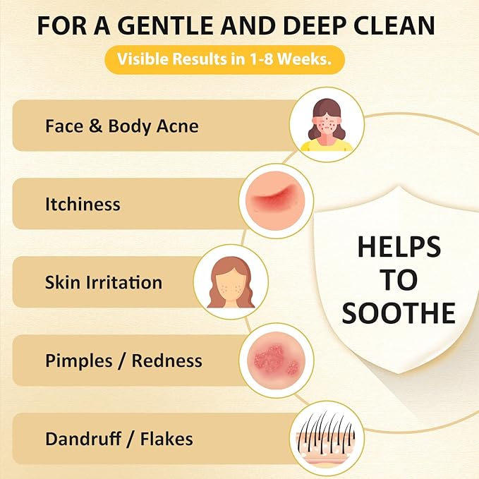Bee &amp Flower Sulfur Soap Liquid Shampoo &amp Body Wash - Daily Head to Toe Skin Care Product for Men and Women - 16.8 Fl Oz - Pack of 2