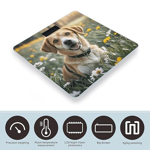 Animal Dog Photo Weight Scale Large Digital Bathroom Scales with Bright LED Display Non Slip Digital Scale and Step On Fashion Weighing Machine for Body