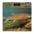 Brook Trout Fly Fishing Scale for Body Weight Sturdy Tempered Glass Weighing Scales with LCD Display Accurate Digital Bathroom Scale Convenient Body Fat Smart Scales Easy Read