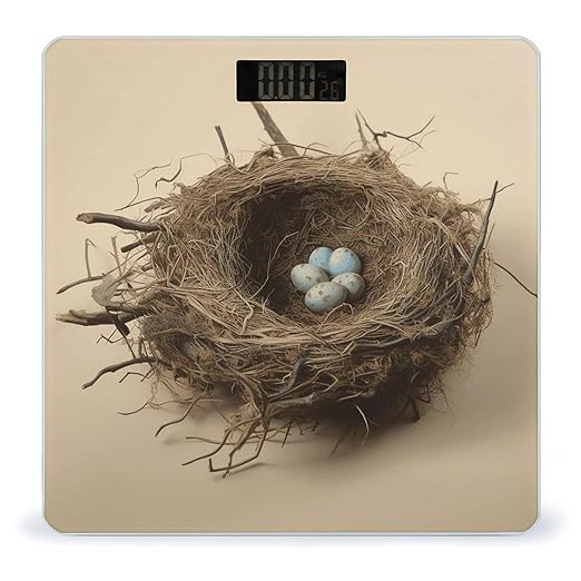 Birds Nest Bathroom Scale for Body Weight LCD Display Digital Bathroom Scale Tempered Glass Bathroom Weight Scales Fashion Smart Scales for Home Bedroom 400 Lb