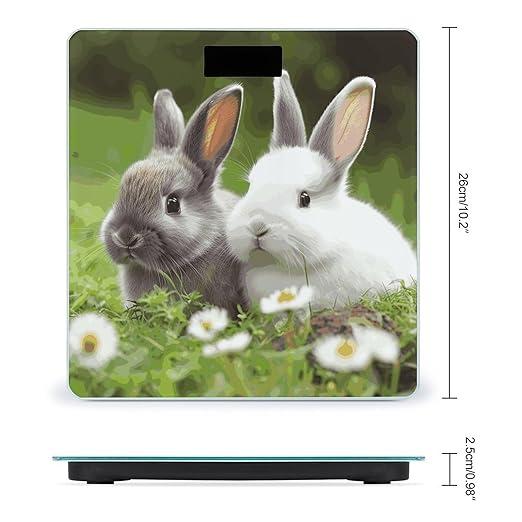 Two Little Cute Rabbits Scale with LCD Easy-to-Read Anti-Slip Weight Digital Bathroom Scale Precision Weighing Scales Sturdy Tempered Glass Body Weight Scales for Daily Use