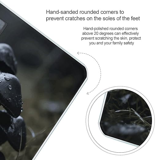 Black Mushrooms Scale for Body Weight Sturdy Tempered Glass Weighing Scales with LCD Display Accurate Digital Bathroom Scale Convenient Body Fat Smart Scales Easy Read