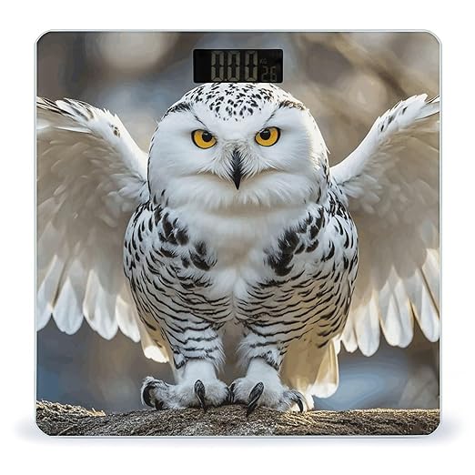 Snow Owl Bathroom Scale for Body Weight LCD Display Digital Bathroom Scale Tempered Glass Bathroom Weight Scales Fashion Smart Scales for Home Bedroom 400 Lb