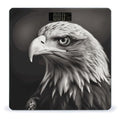 Eagle Black and White Digital Bathroom Scale Fashion Unique Weight Scale BMI Anti-Slip Precision Weighing Scales Suitable for Home Bedrooms Use and Gift