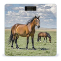 Grazing Wild Horses Scale for Body Weight Smart Scales Digital Bathroom Scale High Precision Weighing Scales with Large Display Weighing Machine for People