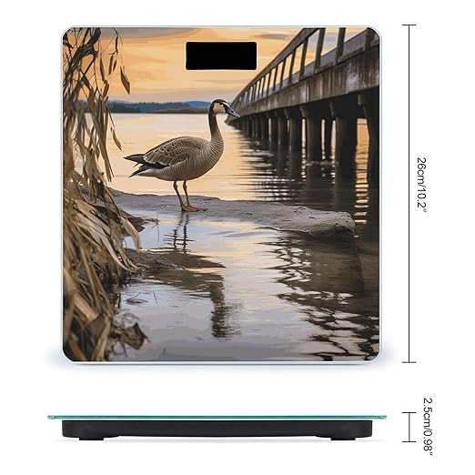 Wild Goose by The Bridge Bathroom Scale for Body Weight Bathroom Weighing Scale with Backlit LCD Display Highly Accurate Measures Weight Up to 180kg