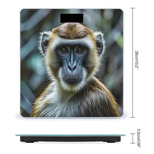 The Silent Monkey Scale for Body Weight Highly Accurate Digital Bathroom Body Scale Digital Bathroom Scales for People Anti-Slip Large LCD Display Smart Scales