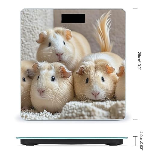 Guinea Pigs Bathroom Scale Digital Weight Scale Precision 400 Lbs Weighing Scales Large with LCD Backlight Display BMI Measures