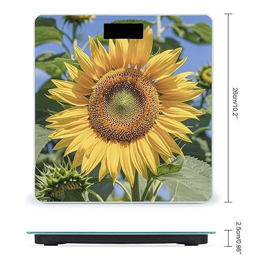Sunflower Bathroom Scale for Body Weight Bathroom Weighing Scales with Back Lit LED Display Sturdy Tempered Glass Body Weight Bathroom Scale 400lb Weighing